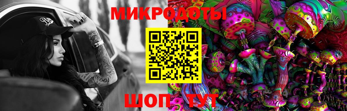 Псилоцибиновые грибы Psilocybine cubensis Острогожск
